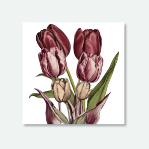 Tulipanes - Explora aquí más diseños